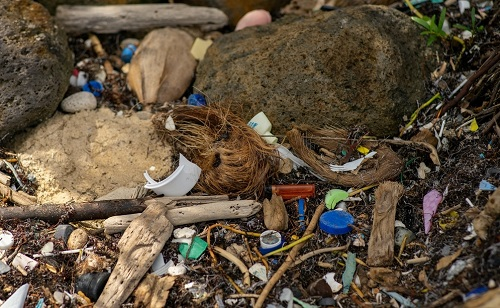 1663299919124578.png image.png